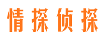 沈阳市出轨取证